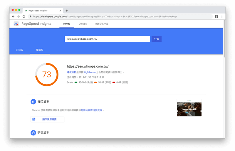 Google PageSpeed Insights 新版介面 - 審查結果
