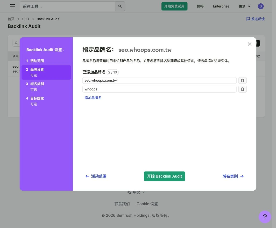 Backlink Audit 中的品牌名稱設定