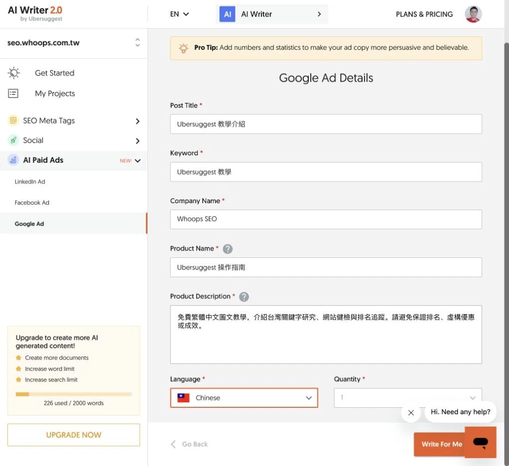 Ubersuggest Google Ad 填寫示例；生成前先核對語言與內容。